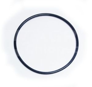 7700004971 Oring