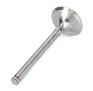 3639878M1 Intake valve