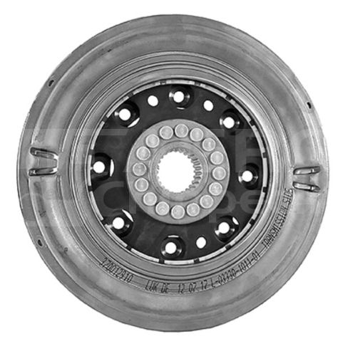 370012910.jpg