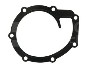 4225204M1 Uszczelka pompy wody OEM 