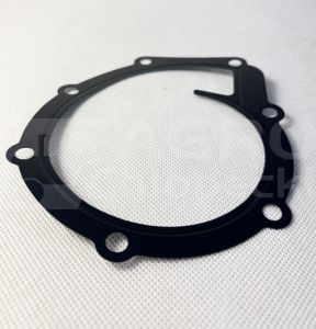 4225204M1 OEM water pump gasket