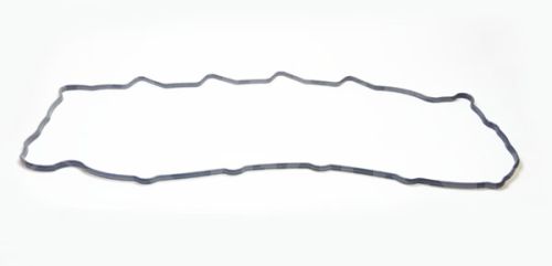 4899231.jpg
