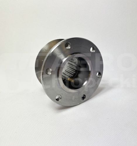 V31794300.jpg