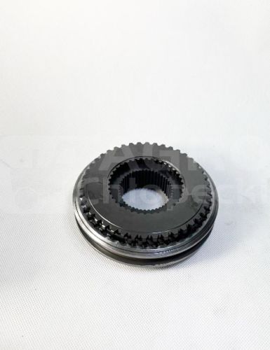 5196249.jpg